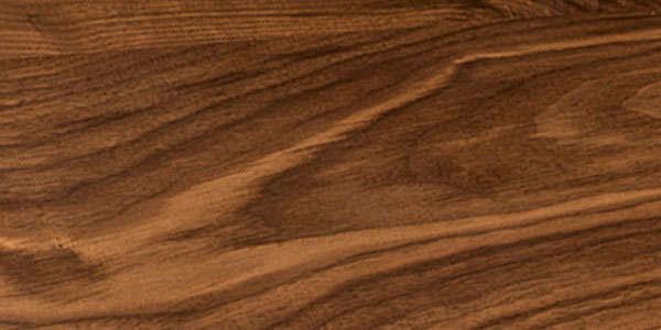 American Walnut